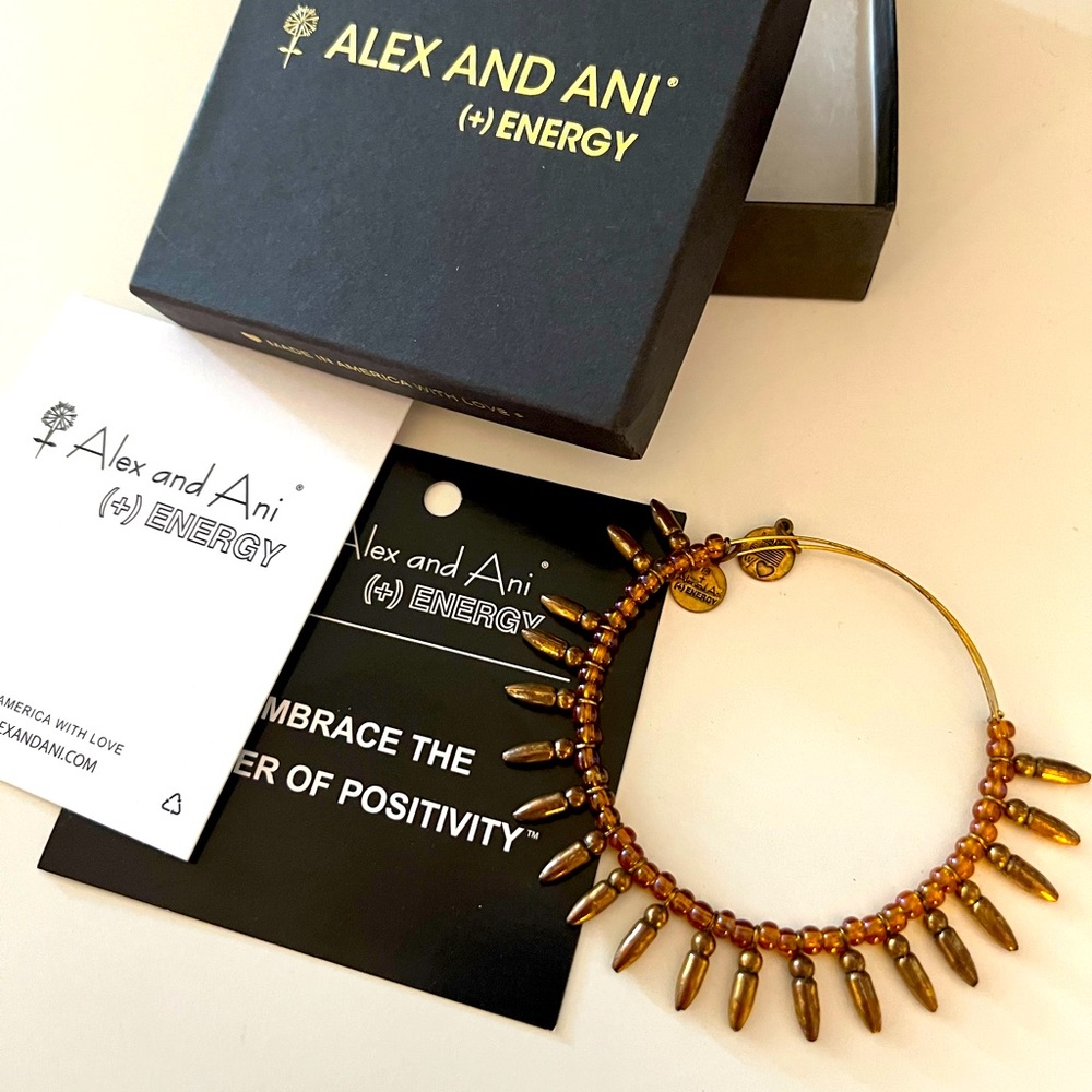 Alex & Ani Bracelet